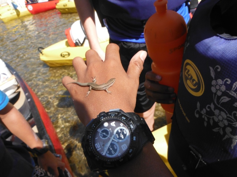 Village Camps International Summer Camp Ard&egrave;che, France 2019-07-26 https://www.villagecamps.com/journals_admin/images/654-35-25-07-2013.jpg lossless (34).jpg